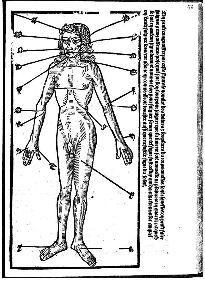 Prancha anatômica no kalendrier de 1508